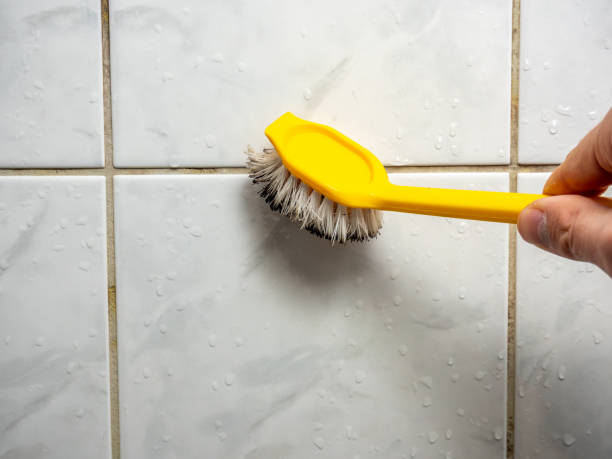 Best Residential Mold Removal  in Waimea, HI