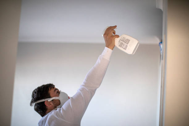 Best Certified Mold Removal  in Waimea, HI