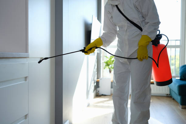 Best Commercial Mold Removal  in Waimea, HI