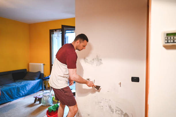 Best Affordable Mold Removal  in Waimea, HI